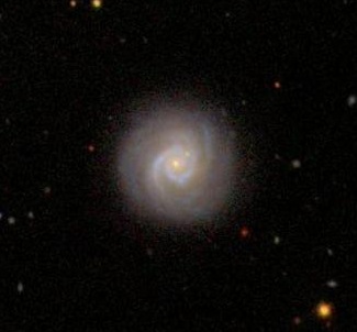 Bulgeless AGN 2: SDSS