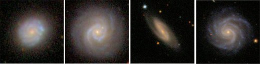 bulgeless WIYN targets