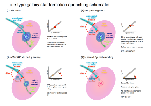 A cartoon version of our picture of how spiral galaxies shut down their star formation.