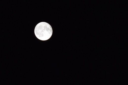 Moon