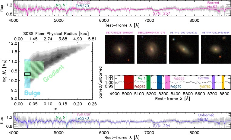 stellarpop_bars_fig1_2015-02-16