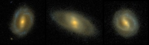 Bars - the galaxy kind!